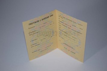 Свидетельство о Браке 1991г РСФСР в Нижнем Тагиле