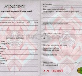 Аттестат о Полном Среднем Образовании Беларуси 2018г в Нижнем Тагиле
